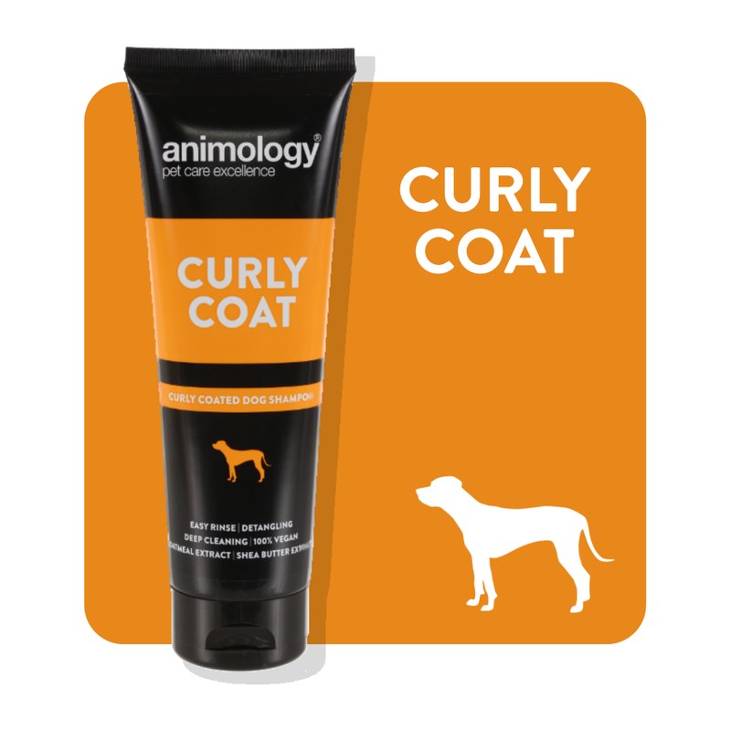 Animology Curly Coat Shampoo