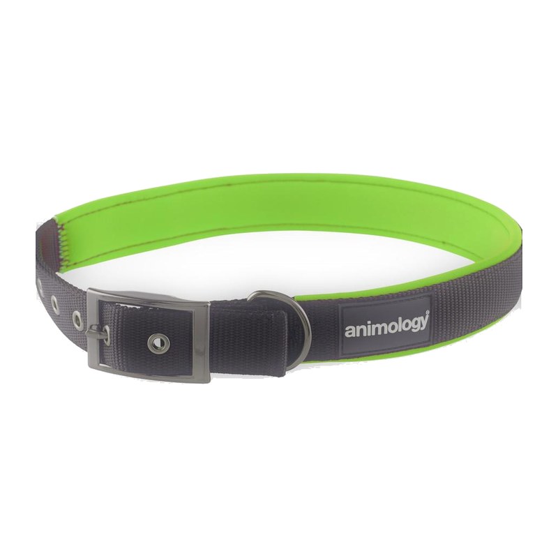 Animology Padded Buckled Collar – Green