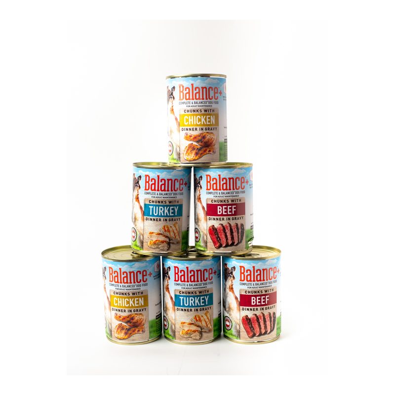 Balance Adult Dog Wet Food