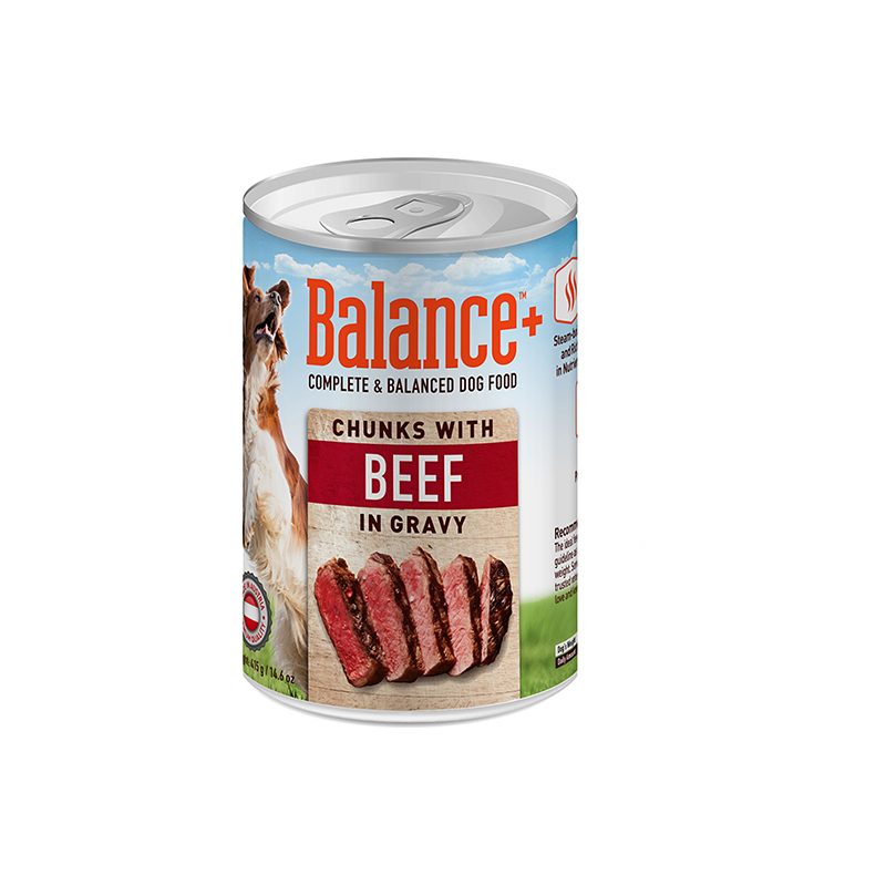 Balance Complete and Balanced Dog Food - Chunks With Beef In Gravy