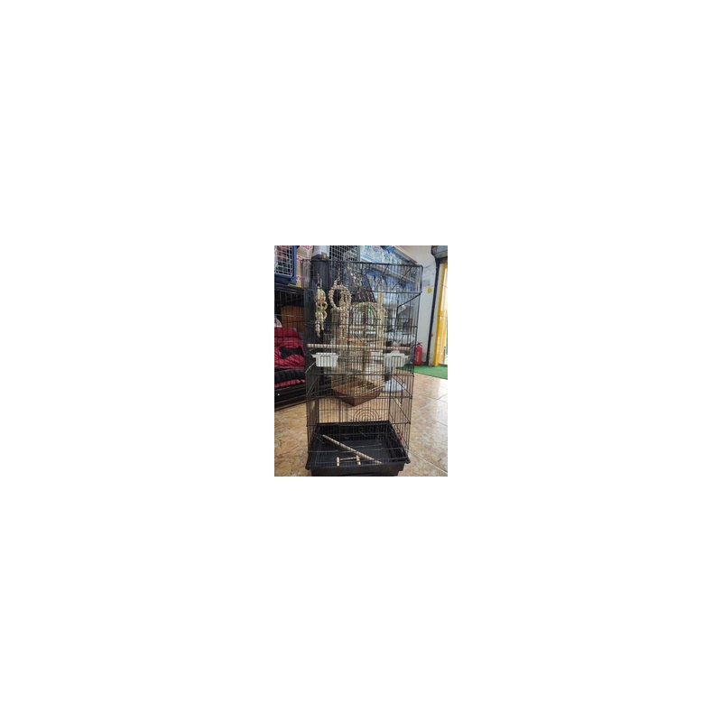 Black Bird Cage