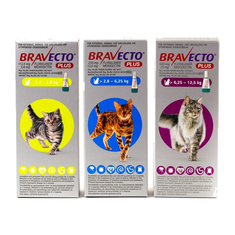 Bravecto Plus Spot-On for Cats