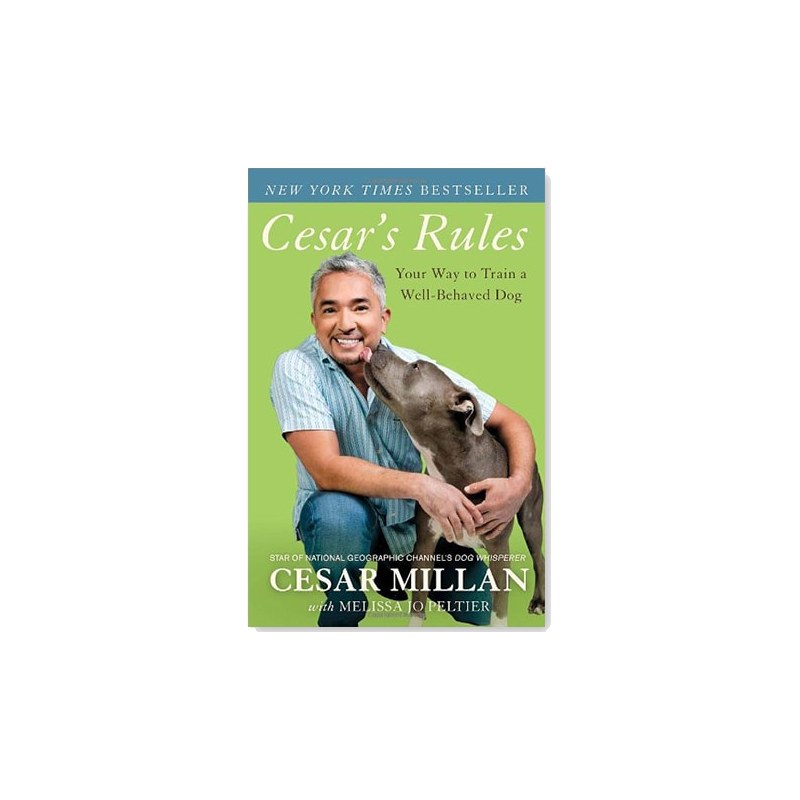 Cesar’s Rules
