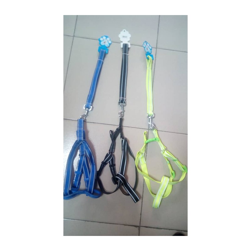 Dog Harness & Leash – Small/Medium