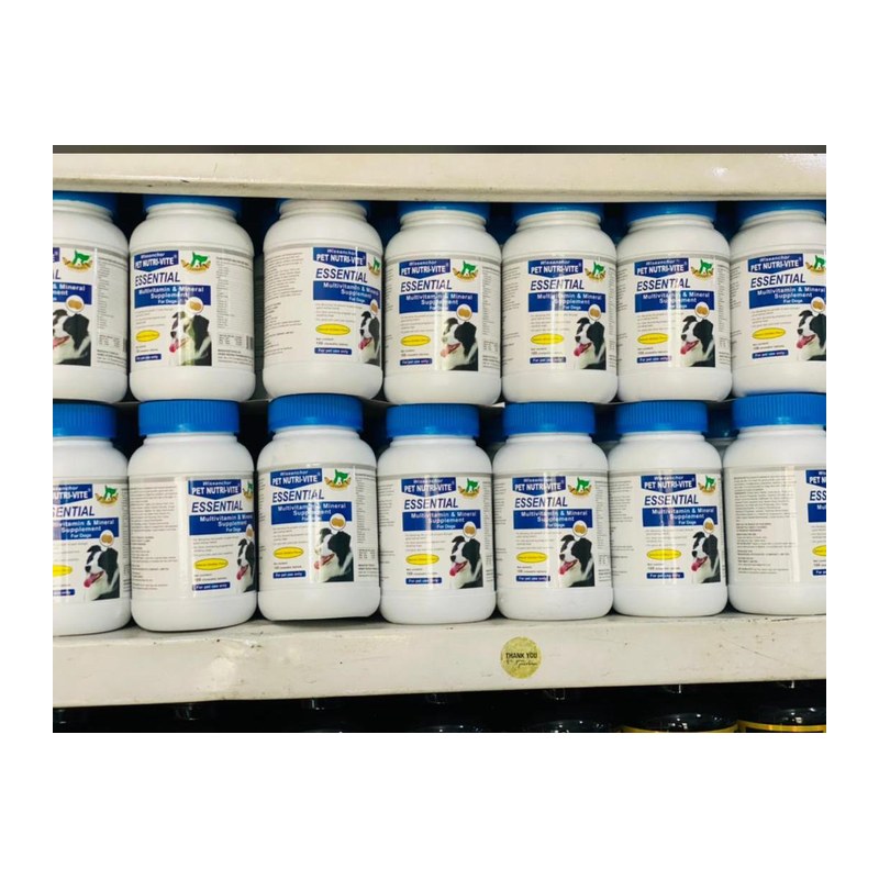 Essential Multivitamin And Mineral Supplement