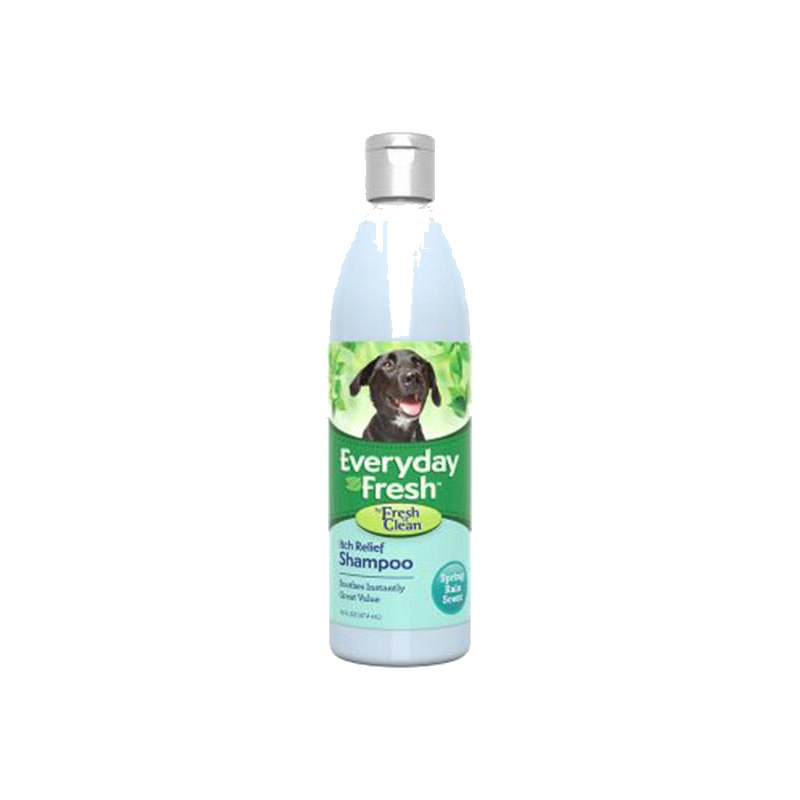 Everyday Fresh™ by Fresh ’n Clean® – Itch Relief Shampoo – Spring Rain Scent