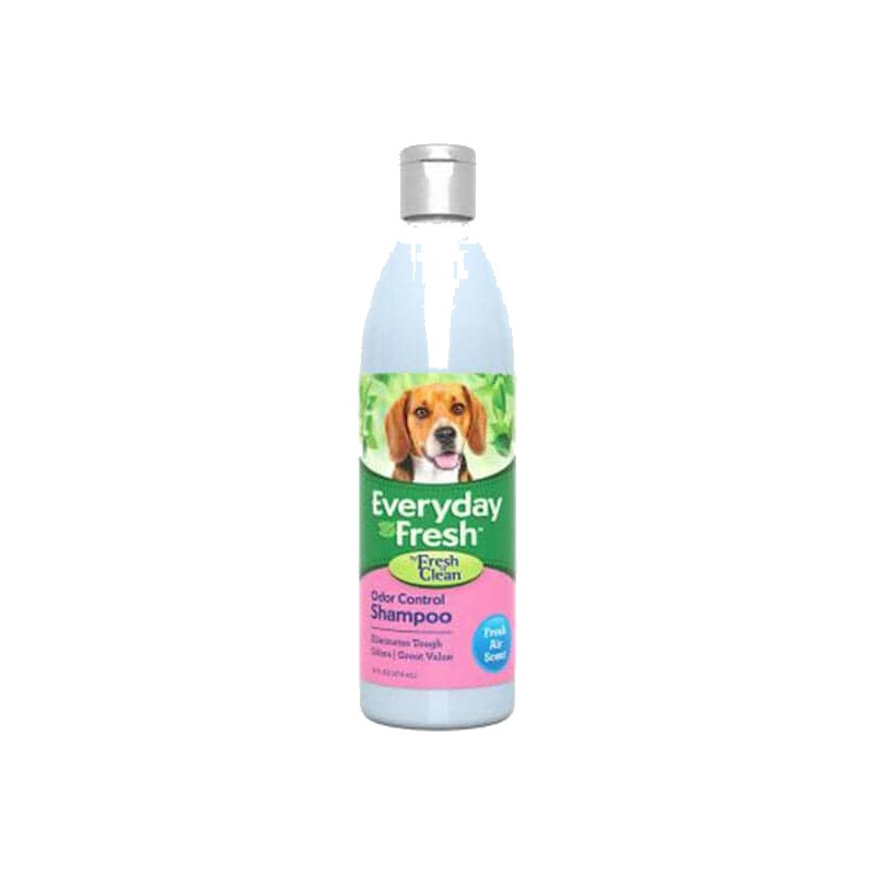 Everyday Fresh™ by Fresh ’n Clean® – Odor Control Shampoo – Fresh Air Scent
