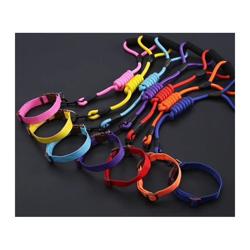 Fancy Leash and Collar Big