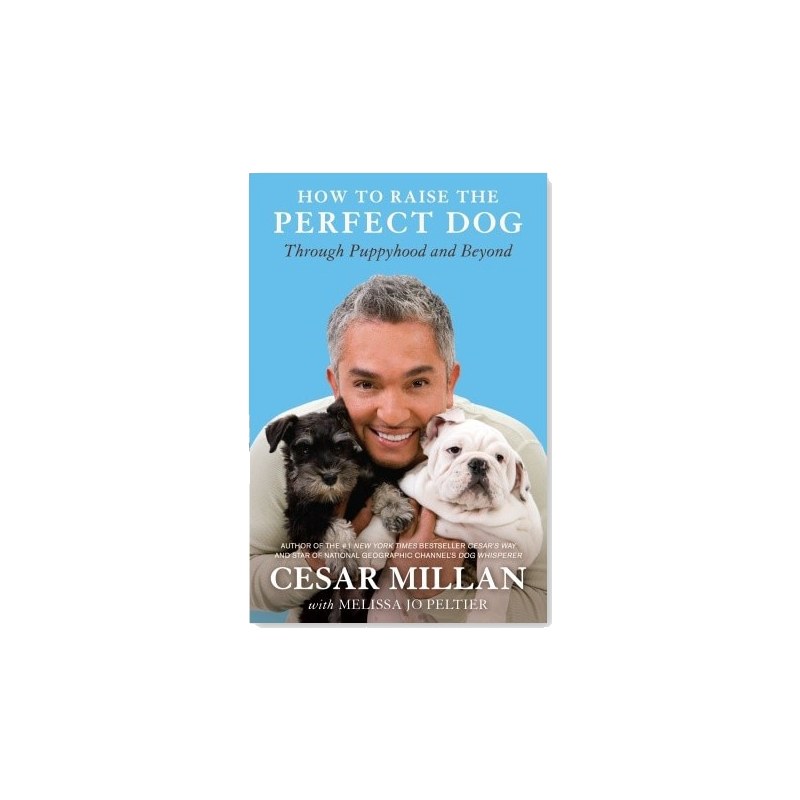 How To Raise The Perfect Dog