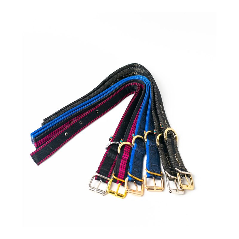 Nylon Collar for Medium Dogs, 13-16 inch neck, 1inch wide