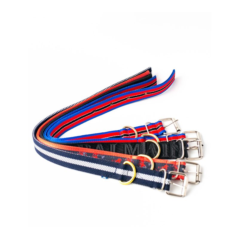 Nylon Collar for Medium Dogs, 13 -18 inches neck, 1.5 inch wide