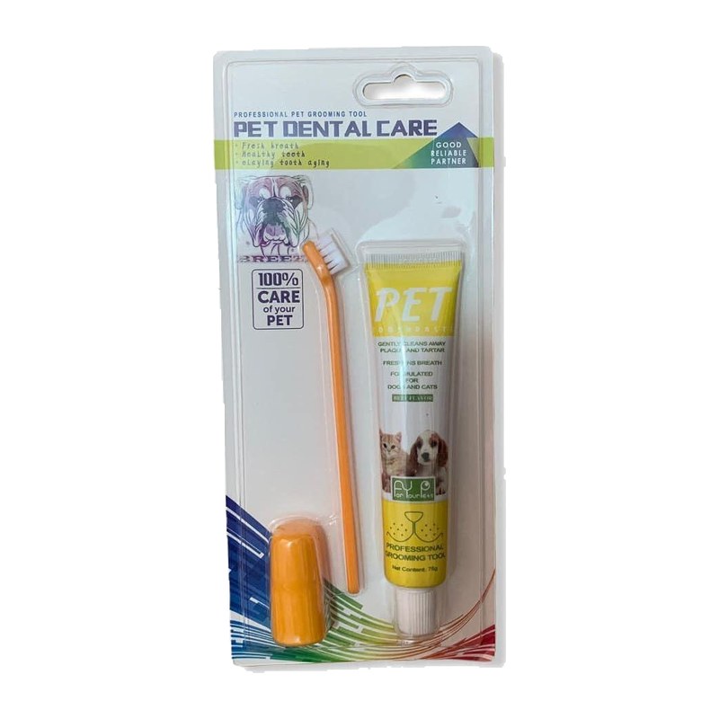 Pet Dental Care For Dogs And Cats