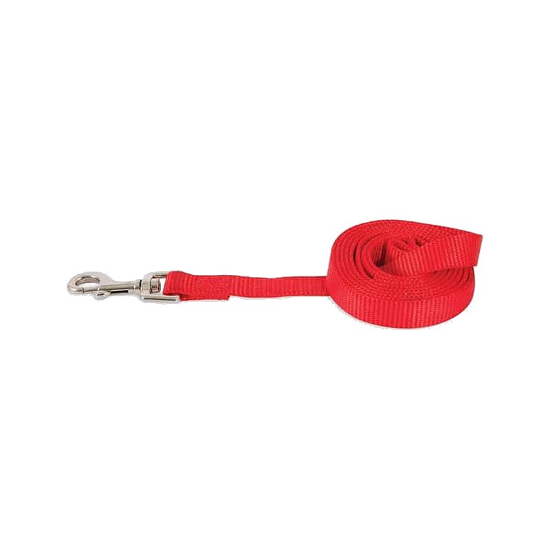 Petmate Nylon Dog Lead (Red)