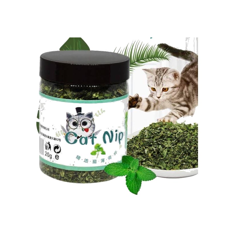 Premium Cat nip For Cats