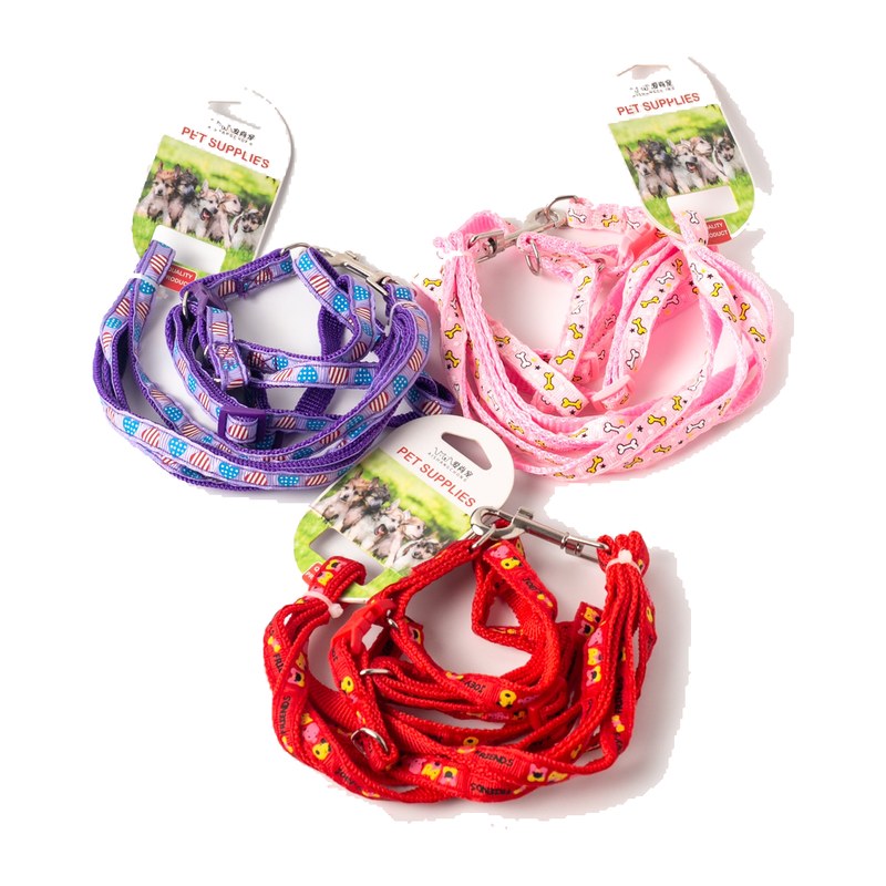 Puppy Harness and Leash Set
