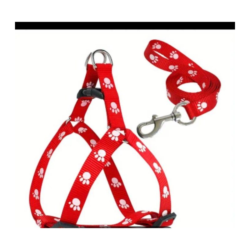 Puppy Harness and Leash