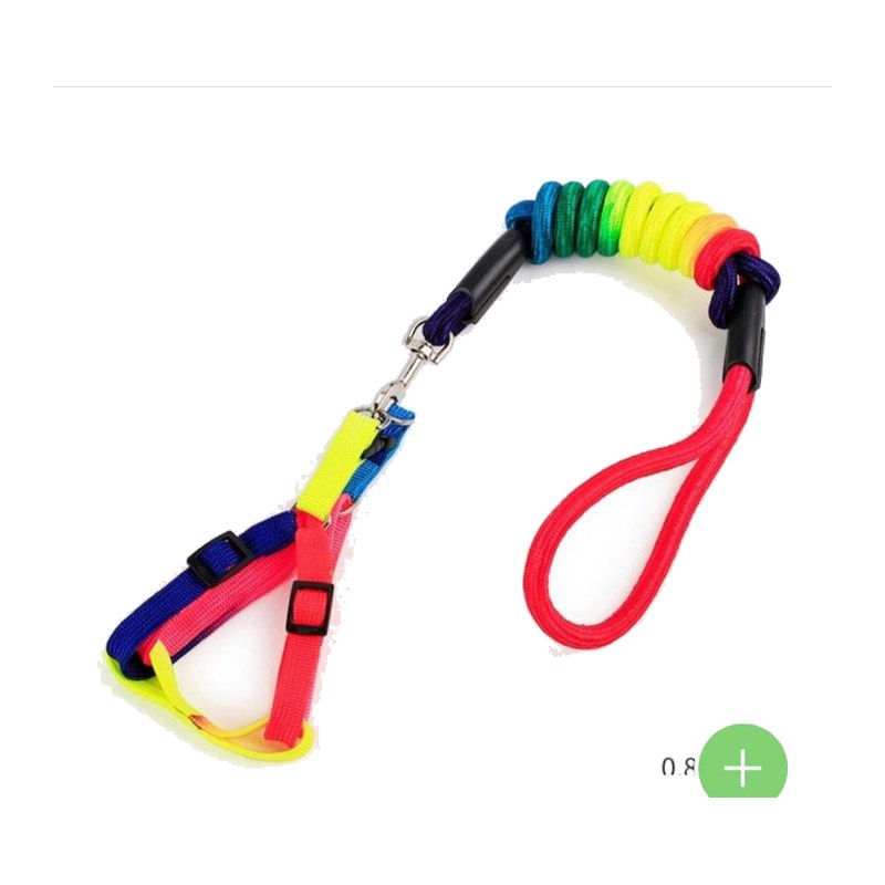 Rainbow Collar and Harness – Medium