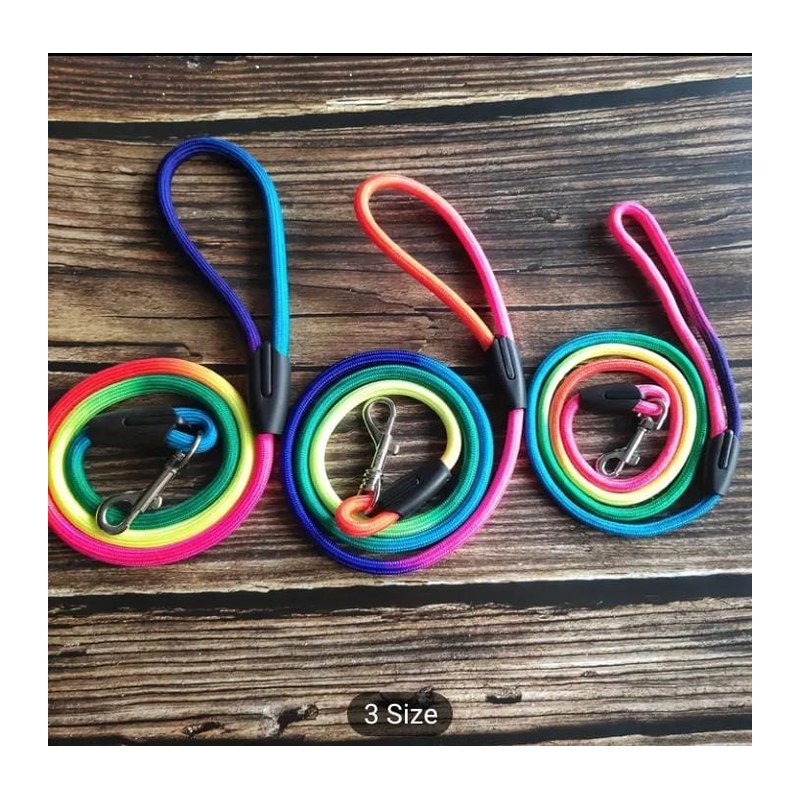 Rainbow Leash Small