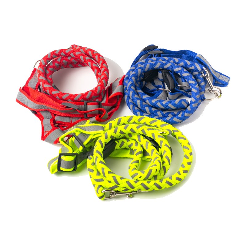 Reflective Pet Harness and Leash Set for Small and Medium Dogs
