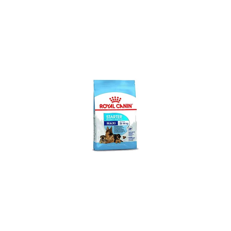 Royal Canin Maxi Starter (4kg)