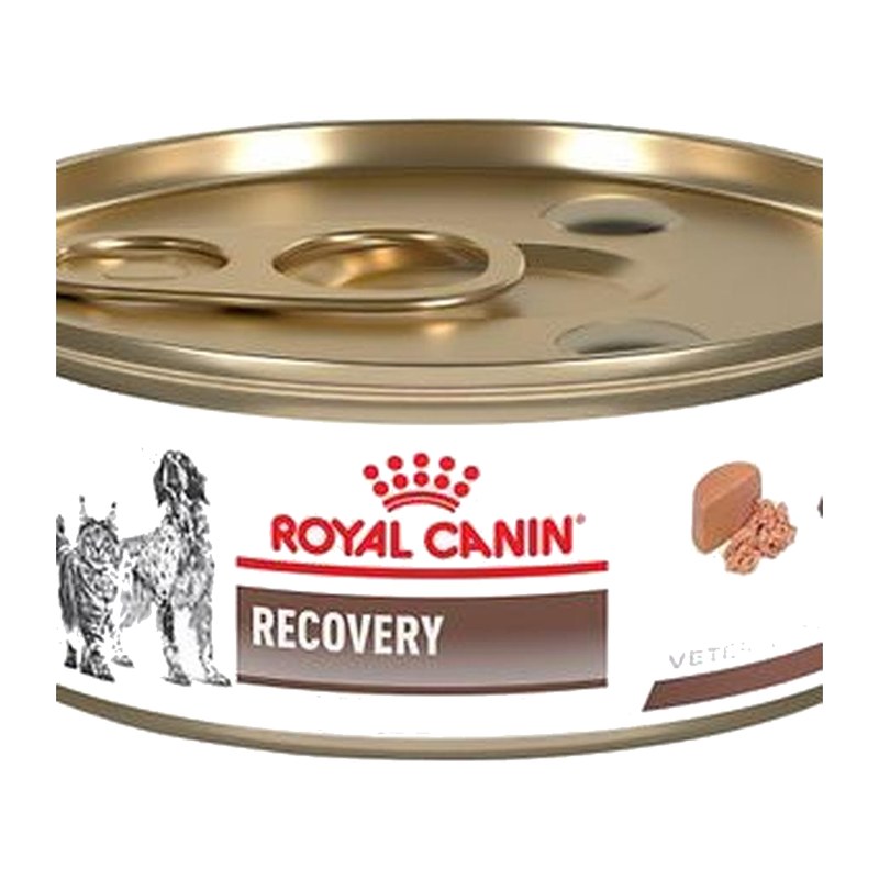 ROYAL CANIN® RECOVERY FELINE/CANINE CAN