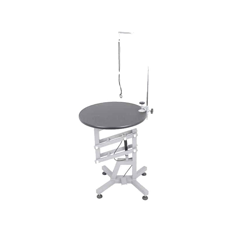 Shernbao Air Lift Pet Dog Grooming Table Rotatable Round Top
