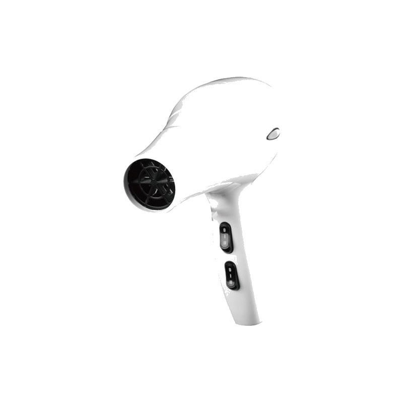 Shernbao Handheld Dryer 3000A