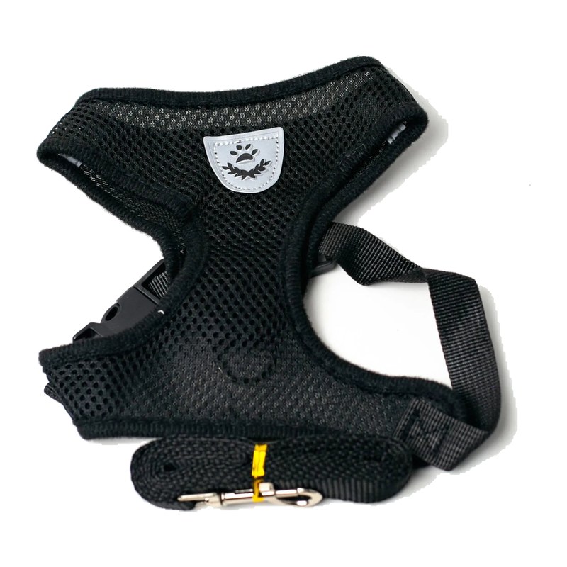 Soft Mesh Harness with Leash for cats