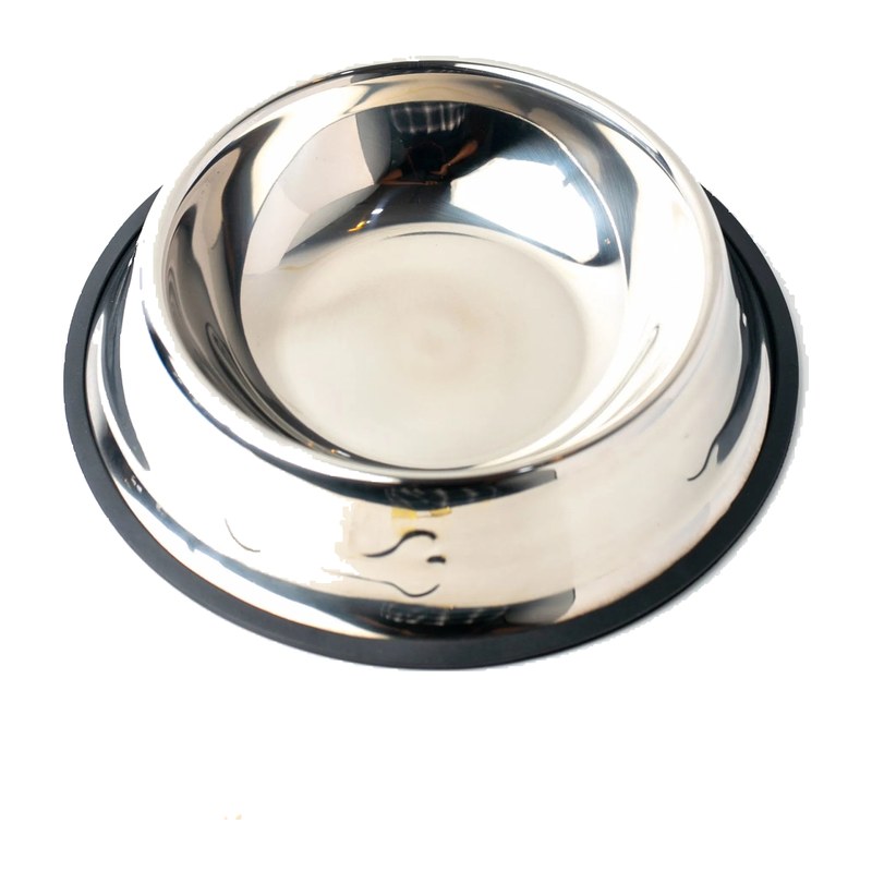 Stainless Dog Plate