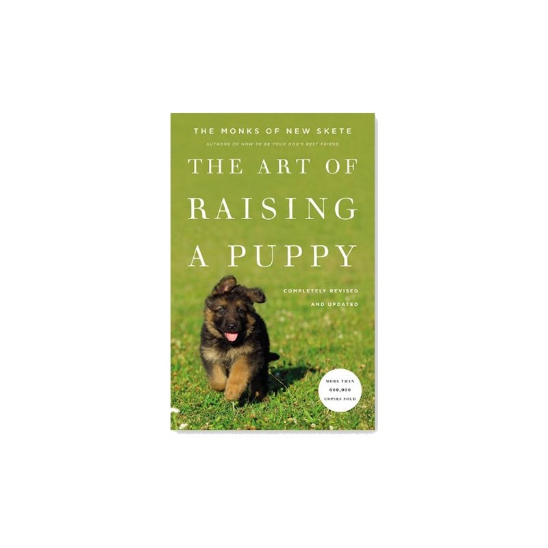 The Art of Raising a Puppy