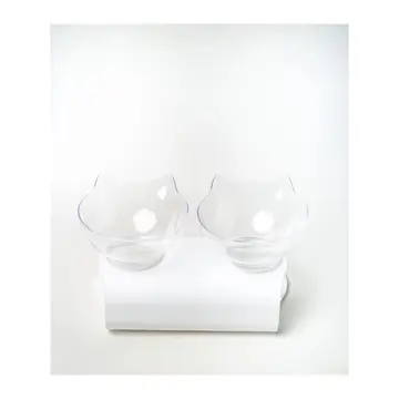 Non-Slip Oblique Double Cat Bowl with Stand