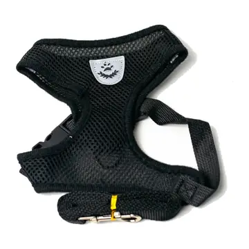 Soft Mesh Harness with Leash for cats
