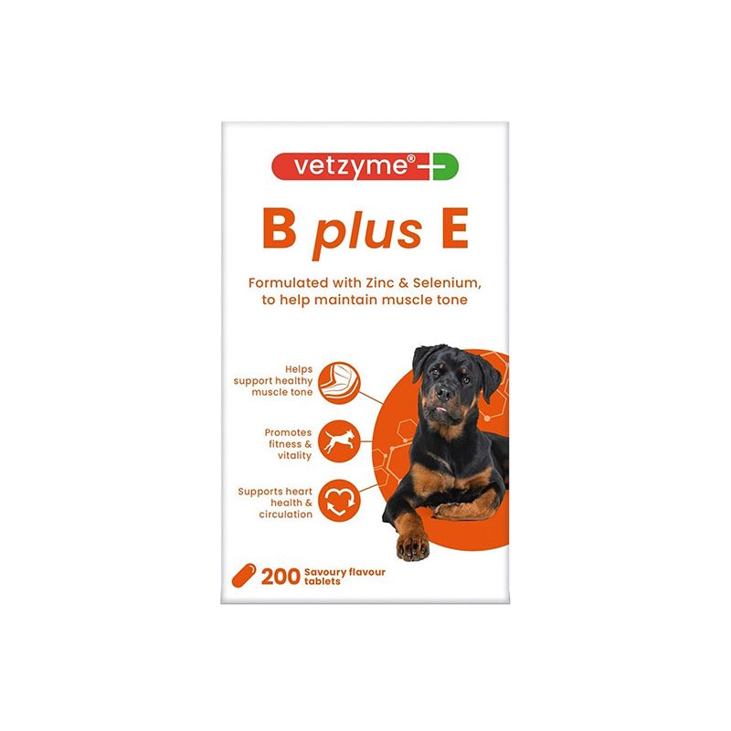 Vetzyme B Plus E (200 Tablets)