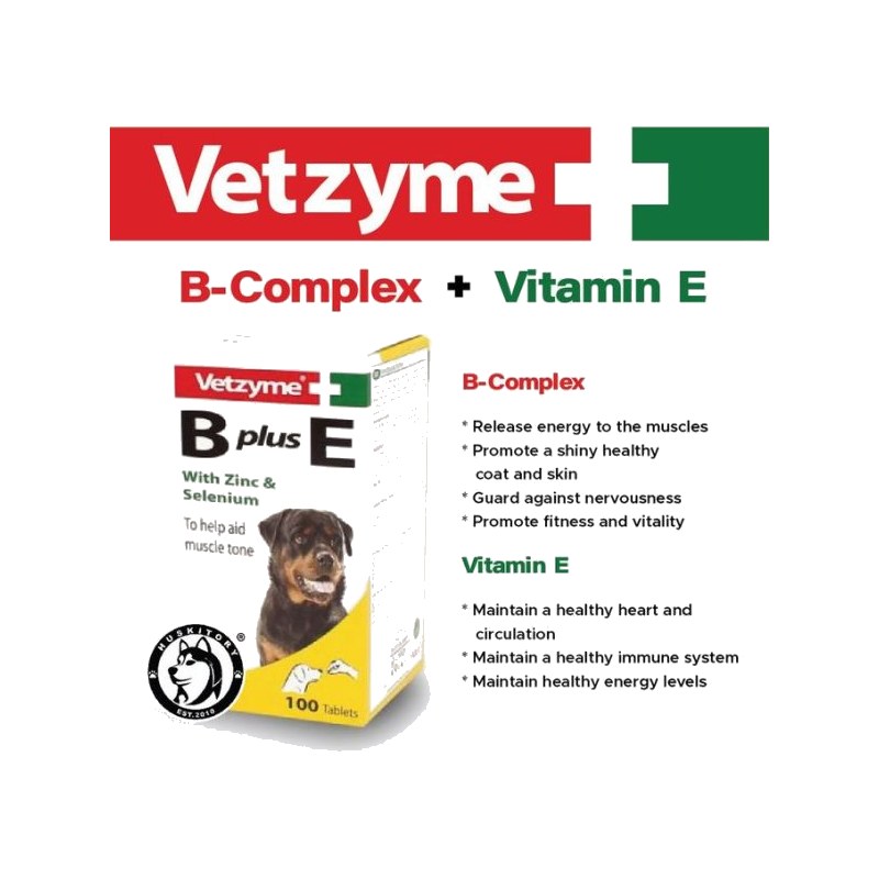 Vetzyme B Plus E Dog Supplement