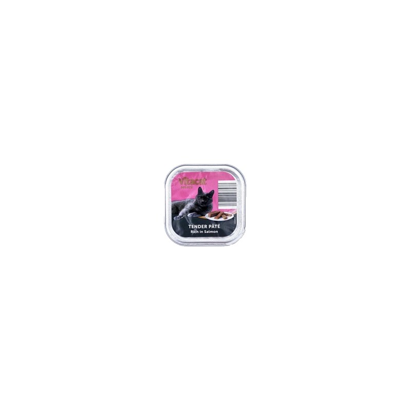Vitacat Tender Pate Salmon (Single piece)
